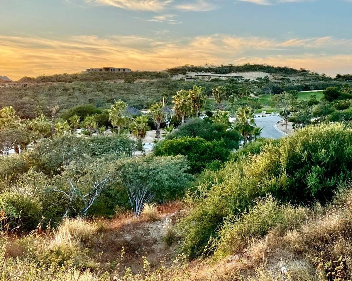 Homesite in Fundadores, Puerto Los Cabos, San Jose del Cabo